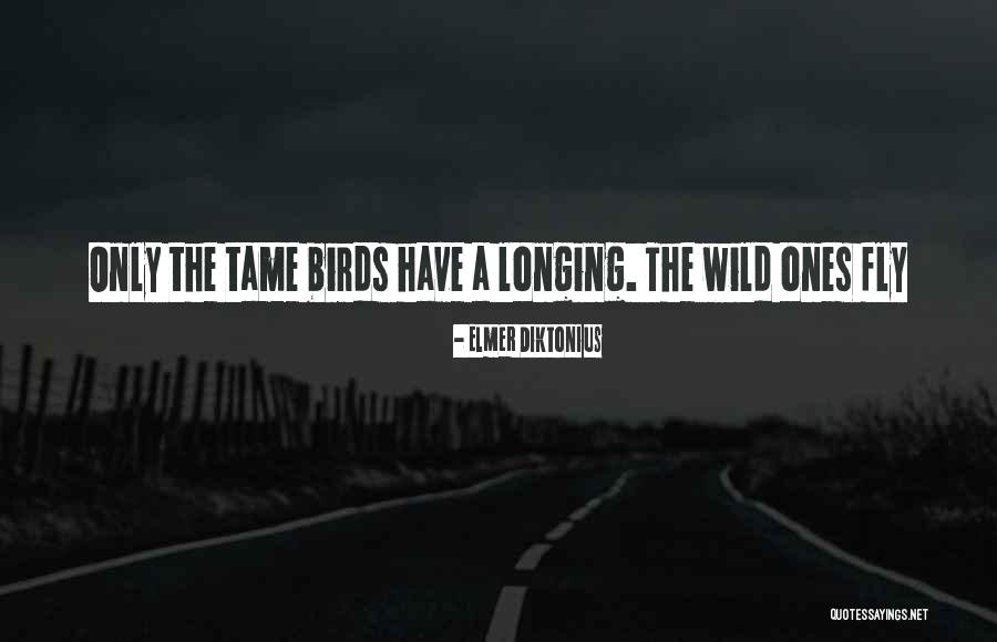 Dodelijk Ongeluk Quotes By Elmer Diktonius Dodelijk Ongeluk Quotes By Elmer Diktonius