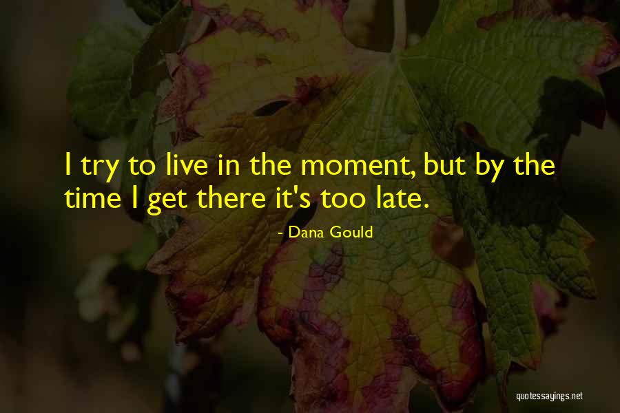 Dodges Log Lodges Quotes By Dana Gould Dodges Log Lodges Quotes By Dana Gould