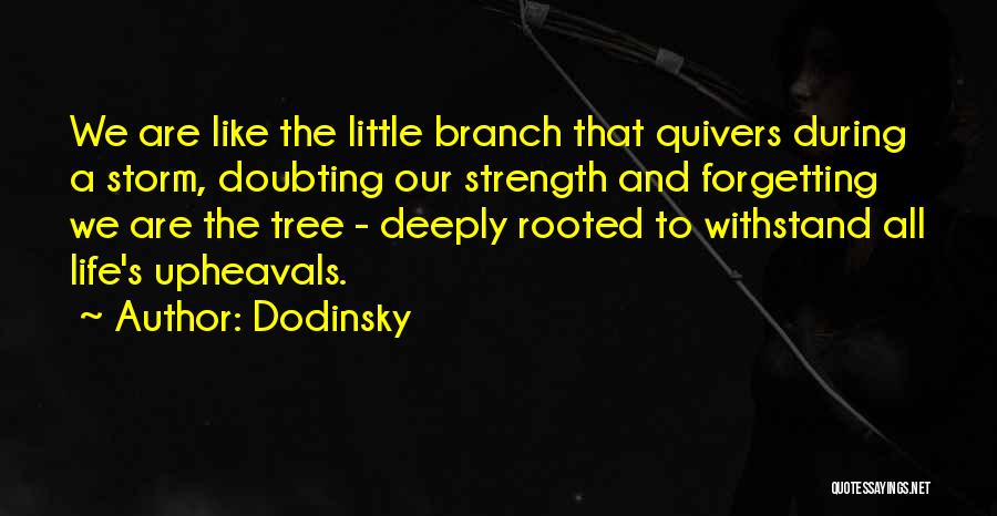 Dodinsky Quotes 1457408