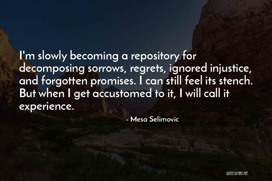 Dodis International Quotes By Mesa Selimovic Dodis International Quotes By Mesa Selimovic