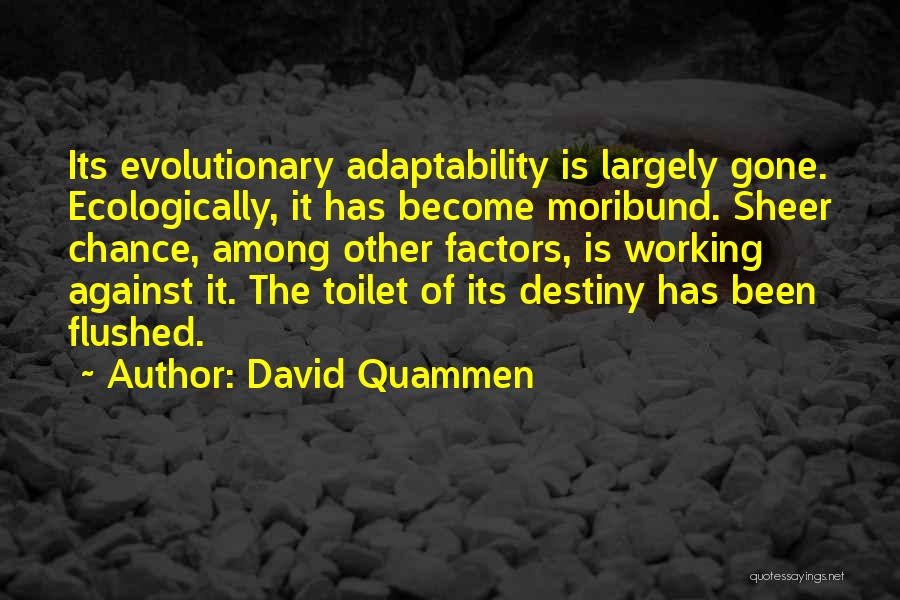 Dodo Quotes By David Quammen