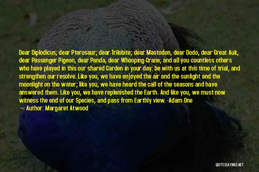 Dodo Quotes By Margaret Atwood