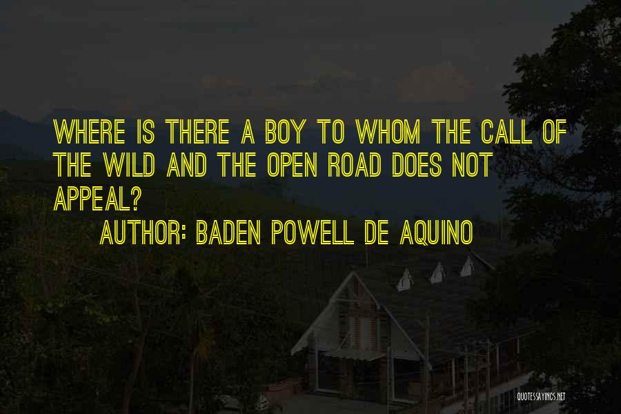 Doe Boy Quotes By Baden Powell De Aquino