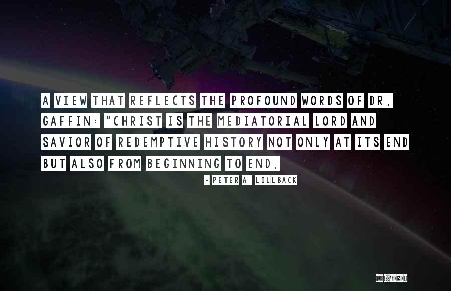 Doelgroepen Quotes By Peter A. Lillback Doelgroepen Quotes By Peter A. Lillback
