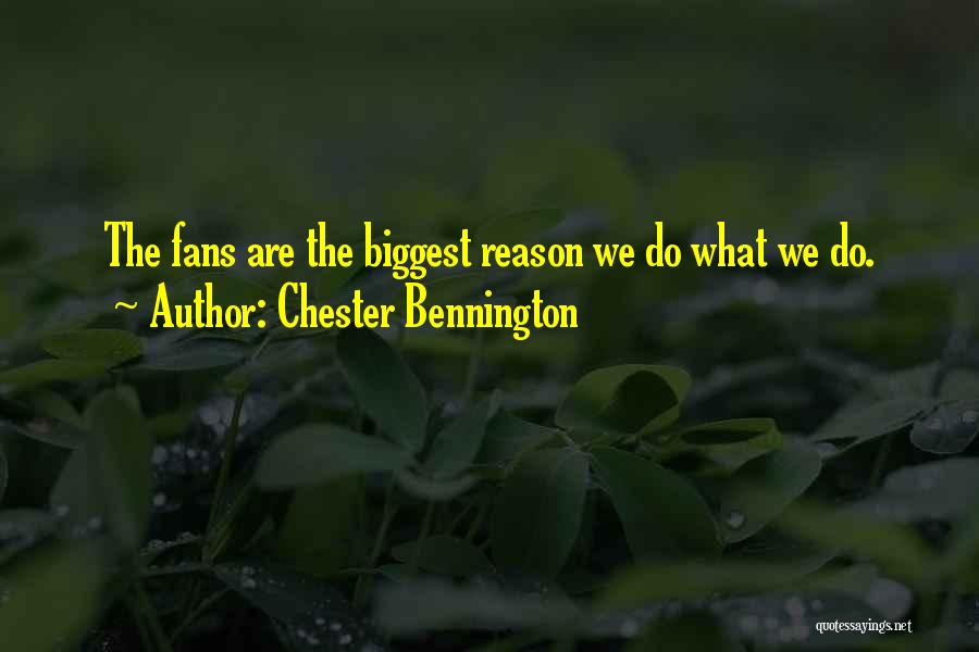 Doelman Antwerpen Quotes By Chester Bennington