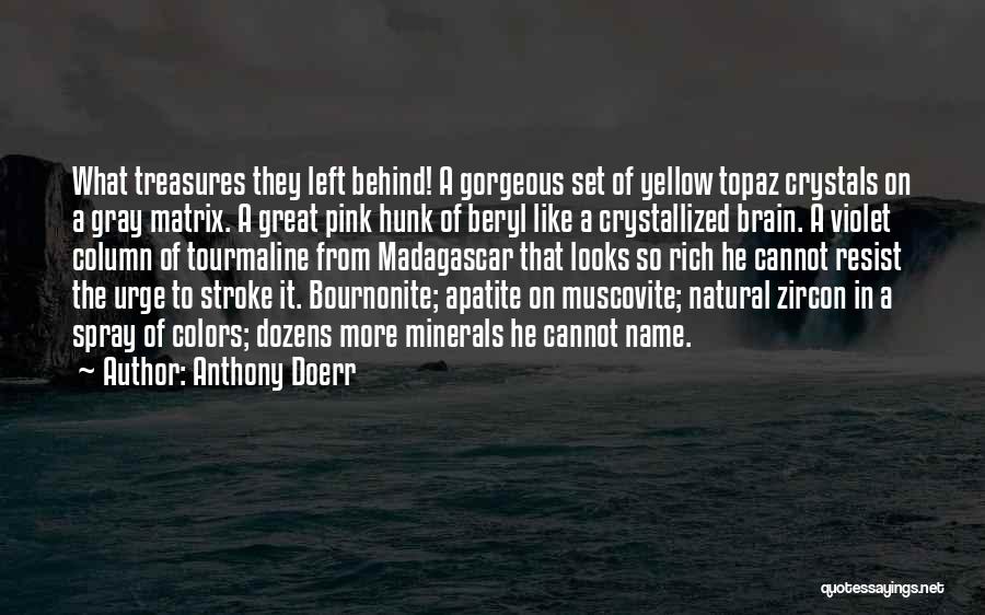 Doerr Quotes By Anthony Doerr