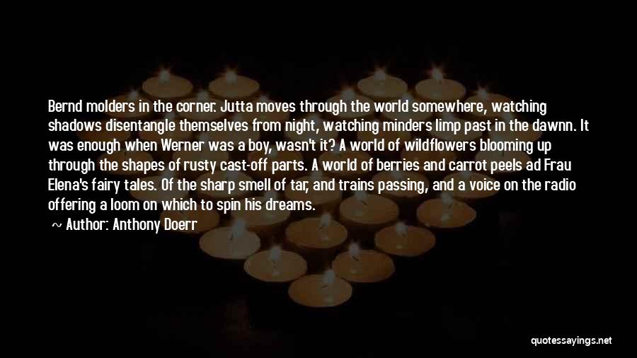 Doerr Quotes By Anthony Doerr