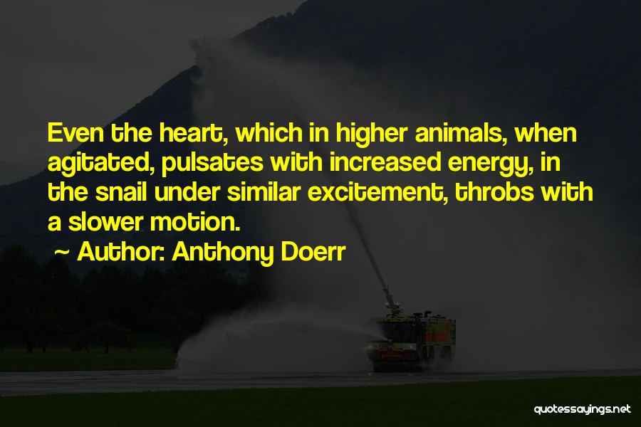 Doerr Quotes By Anthony Doerr