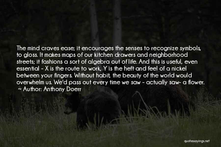 Doerr Quotes By Anthony Doerr