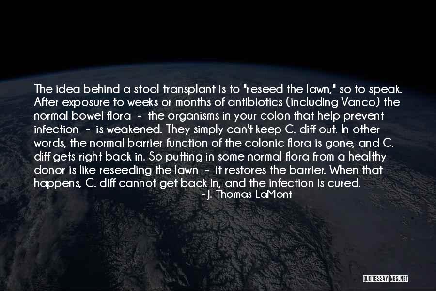 Does A Colon Go After Quotes By J. Thomas LaMont Does A Colon Go After Quotes By J. Thomas LaMont
