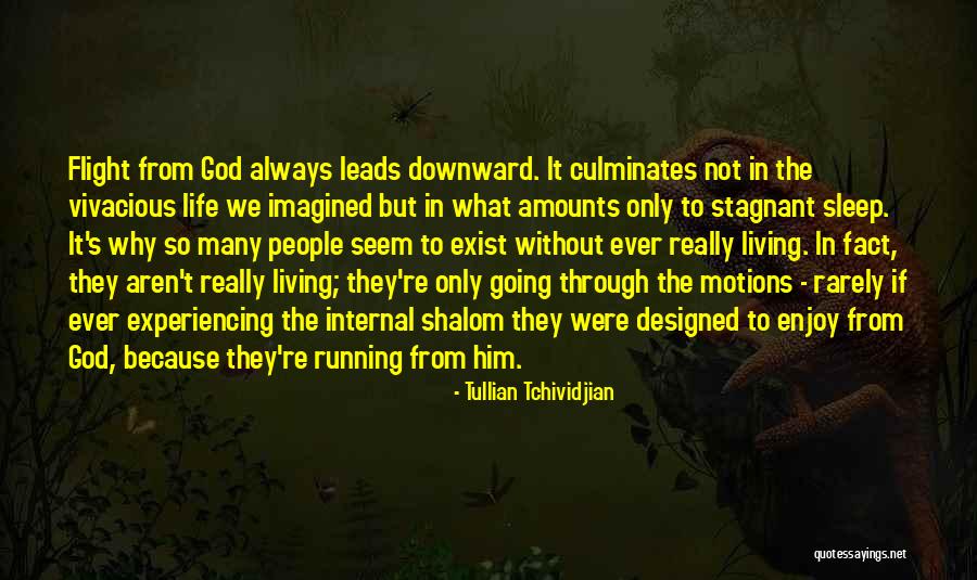 Does God Really Exist Quotes By Tullian Tchividjian