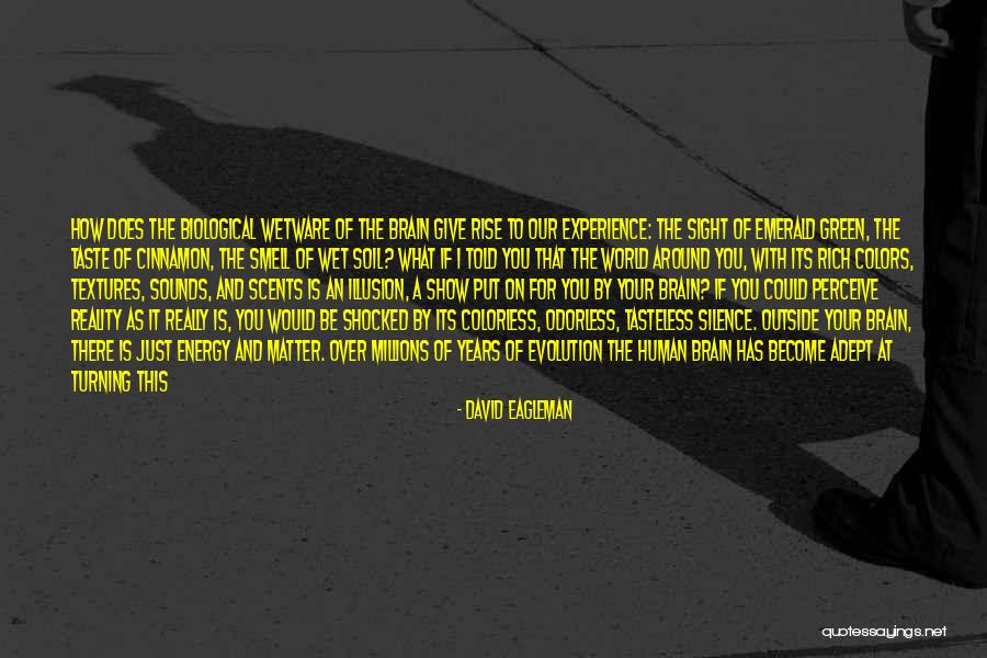 Does It Matter Quotes By David Eagleman Does It Matter Quotes By David Eagleman