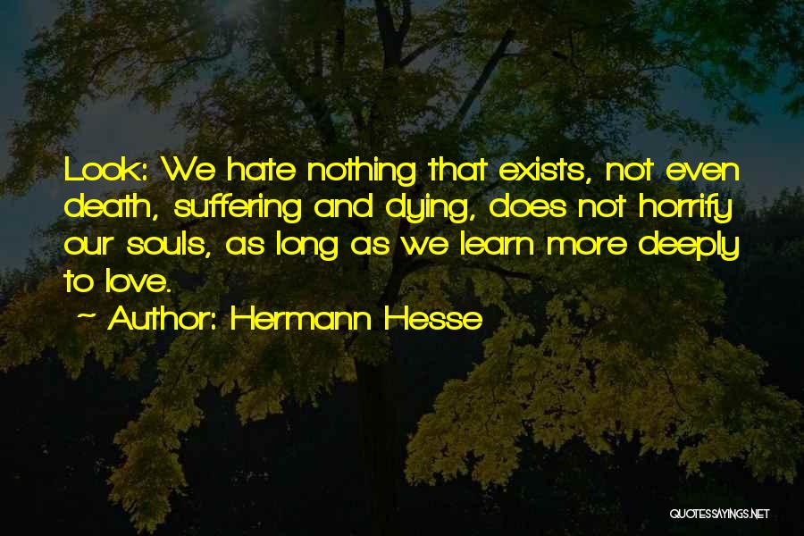 Does Love Exists Quotes By Hermann Hesse