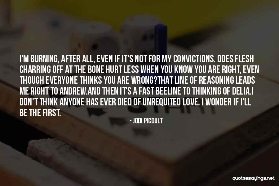 Does Love Hurt Quotes By Jodi Picoult Does Love Hurt Quotes By Jodi Picoult
