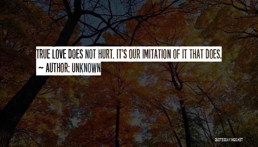 Does Love Hurt Quotes By Unknown