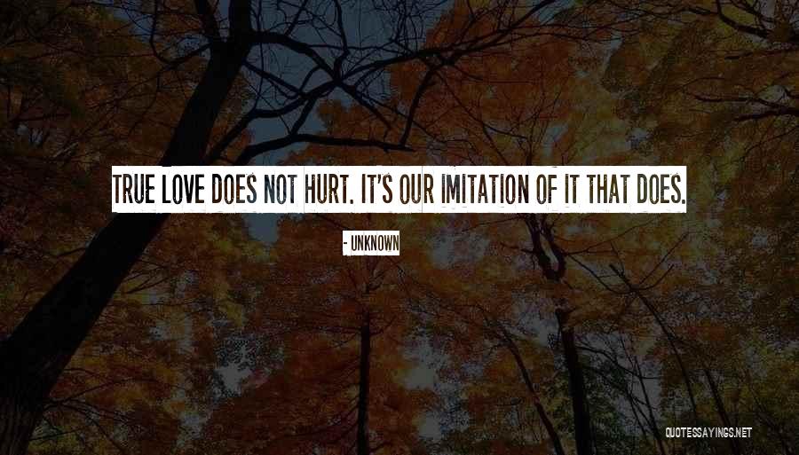 Does Love Hurt Quotes By Unknown