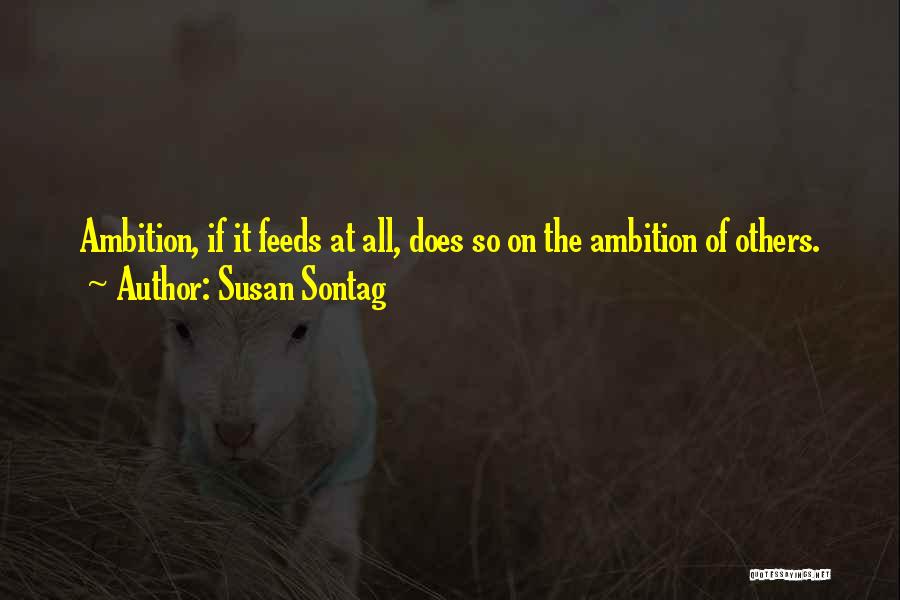 Does Quotes By Susan Sontag