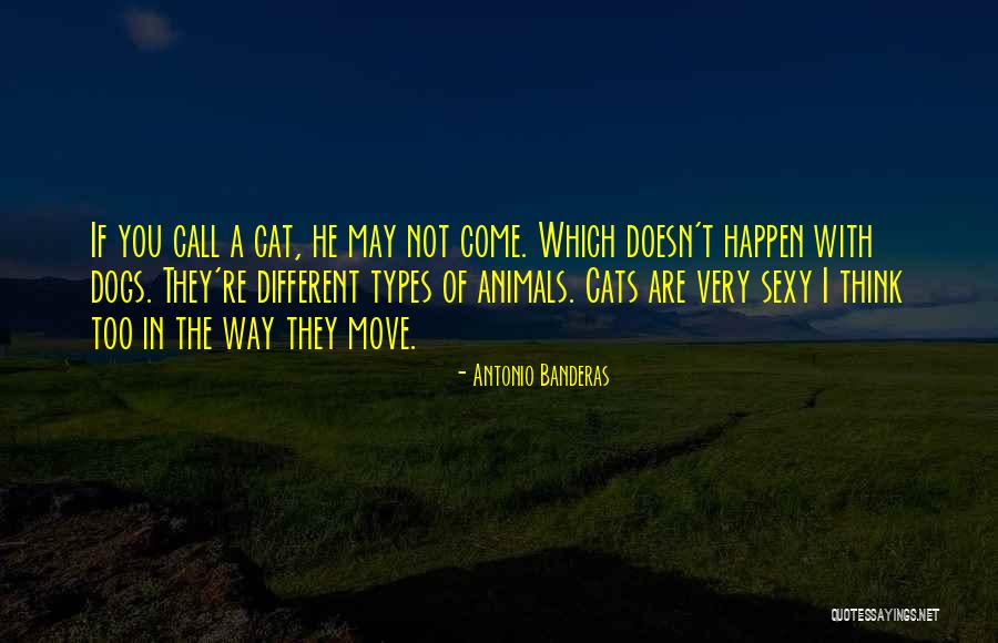 Doesn T Which Quotes By Antonio Banderas Doesn T Which Quotes By Antonio Banderas