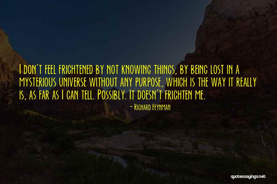 Doesn T Which Quotes By Richard Feynman Doesn T Which Quotes By Richard Feynman