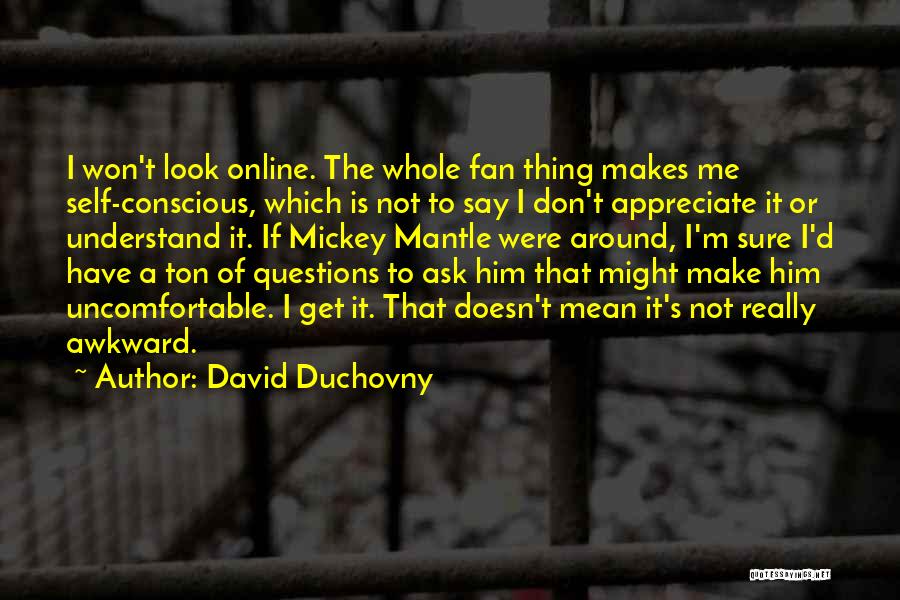 Doesn't Appreciate Me Quotes By David Duchovny