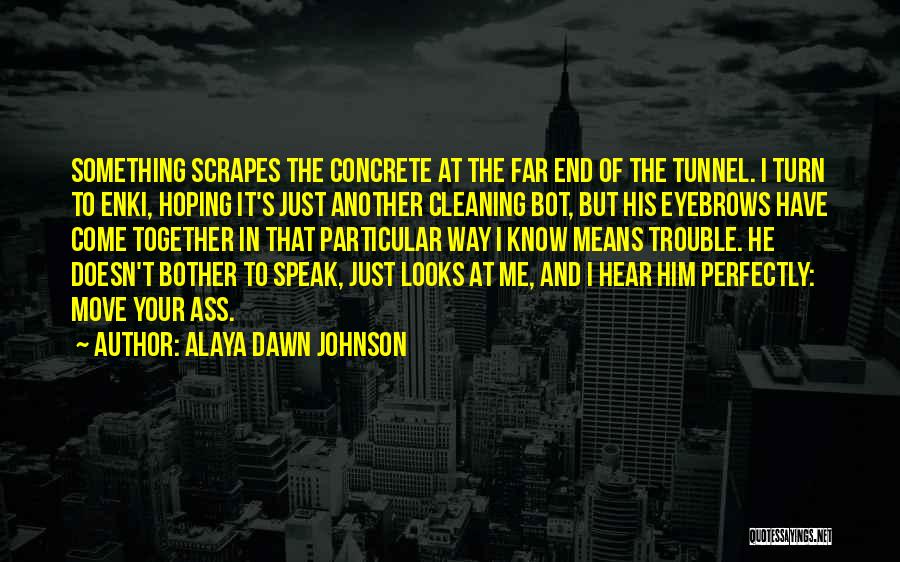 Doesn't Bother Me Quotes By Alaya Dawn Johnson