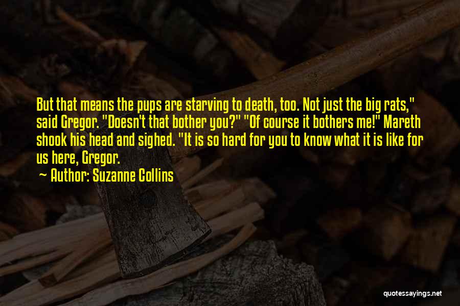 Doesn't Bother Me Quotes By Suzanne Collins