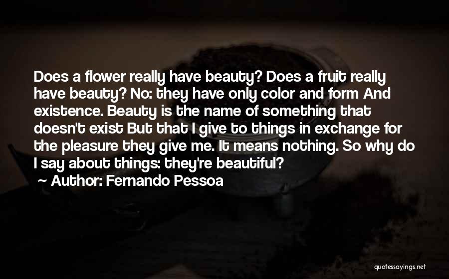 Doesn't Exist Quotes By Fernando Pessoa
