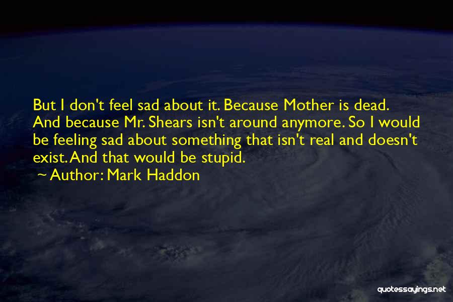 Doesn't Feel Real Quotes By Mark Haddon