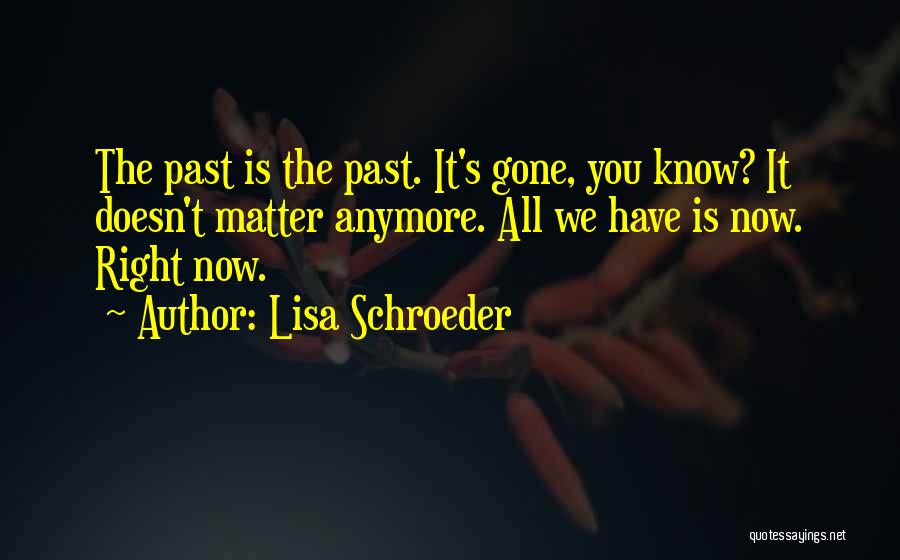 Doesn't Matter Anymore Quotes By Lisa Schroeder