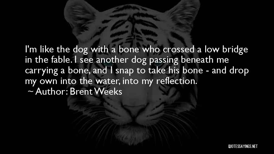 Dog And Bone Quotes By Brent Weeks