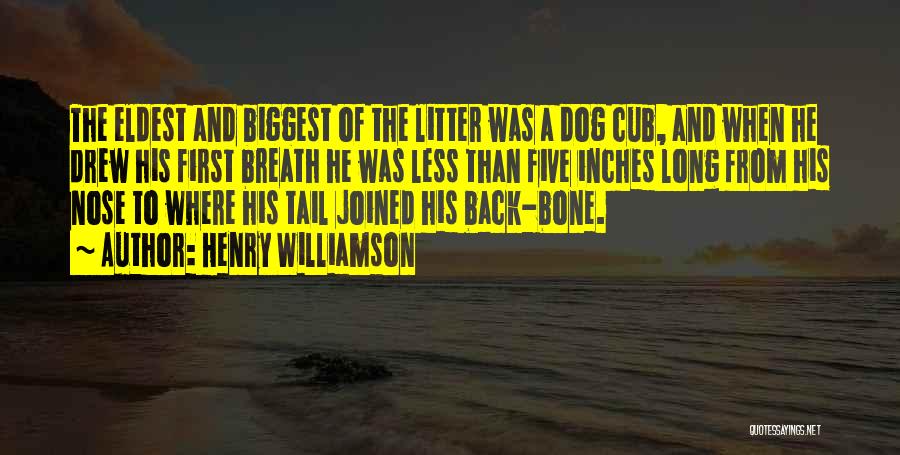 Dog And Bone Quotes By Henry Williamson