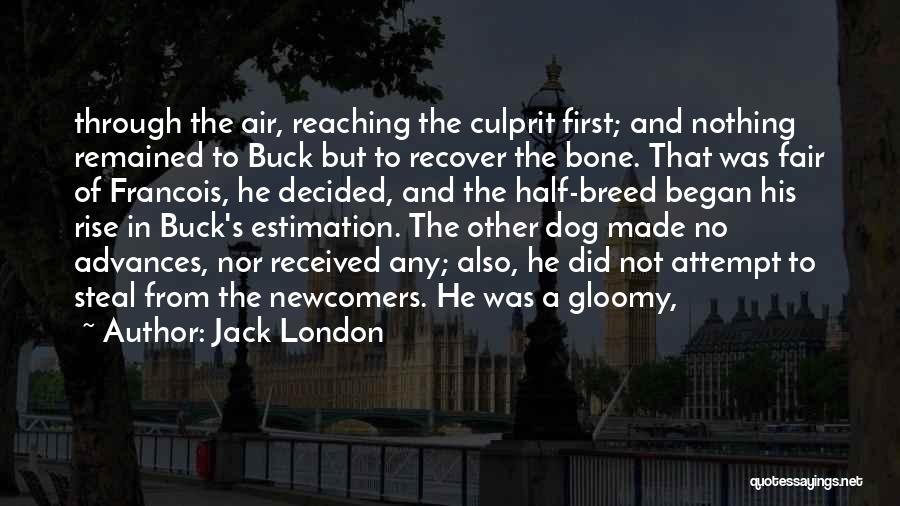 Dog And Bone Quotes By Jack London