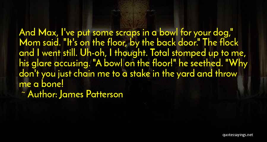 Dog And Bone Quotes By James Patterson