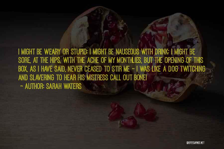 Dog And Bone Quotes By Sarah Waters