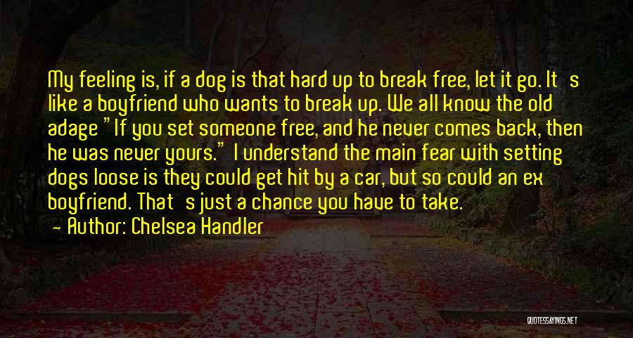 Dog And Boyfriend Quotes By Chelsea Handler