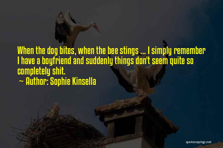 Dog And Boyfriend Quotes By Sophie Kinsella
