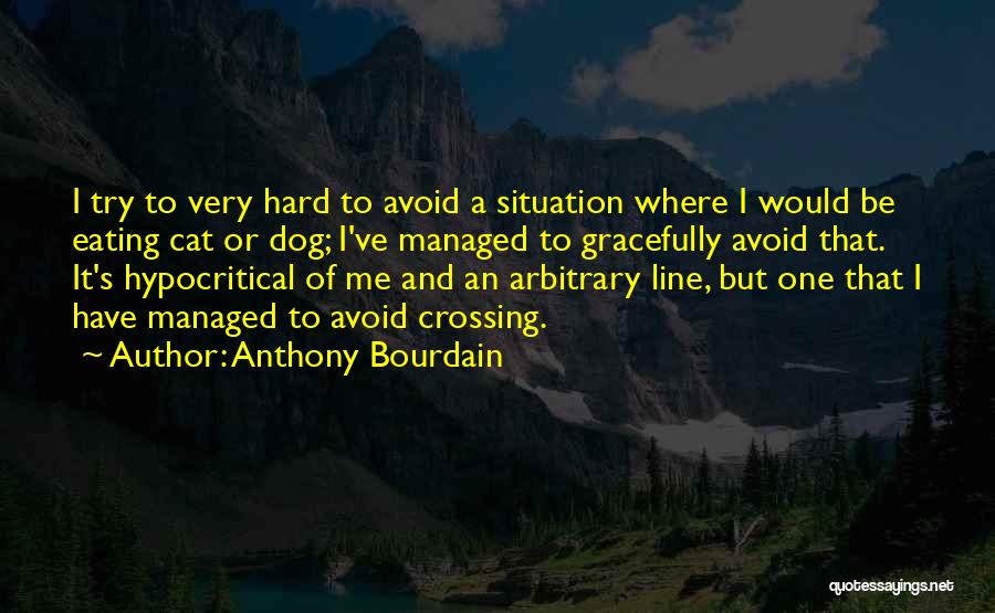 Dog And Cat Quotes By Anthony Bourdain