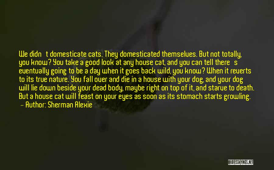Dog And Cat Quotes By Sherman Alexie