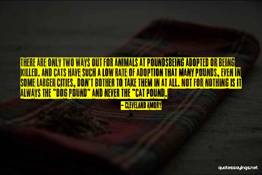 Dog And Cats Quotes By Cleveland Amory Dog And Cats Quotes By Cleveland Amory