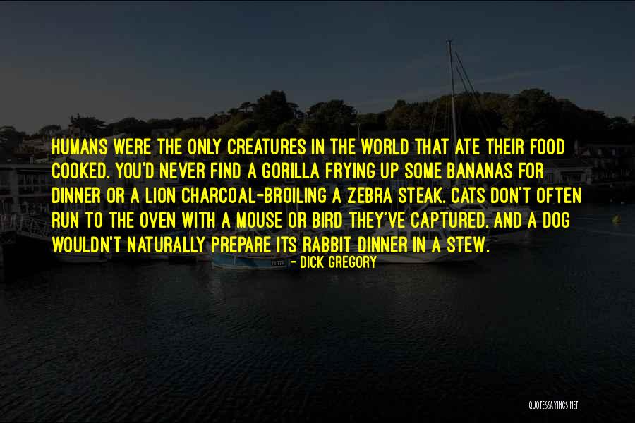 Dog And Cats Quotes By Dick Gregory Dog And Cats Quotes By Dick Gregory
