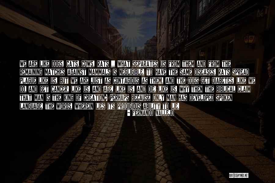 Dog And Cats Quotes By Fernando Vallejo Dog And Cats Quotes By Fernando Vallejo