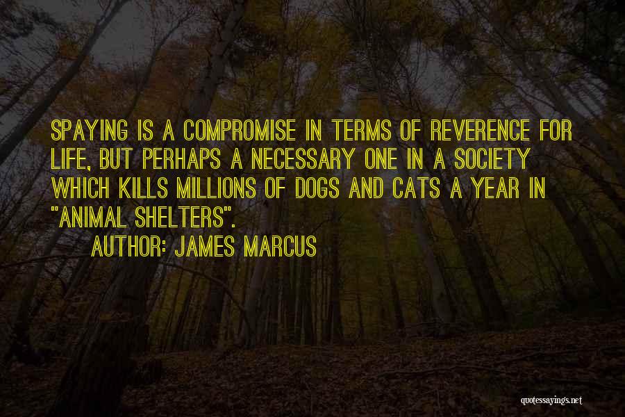 Dog And Cats Quotes By James Marcus