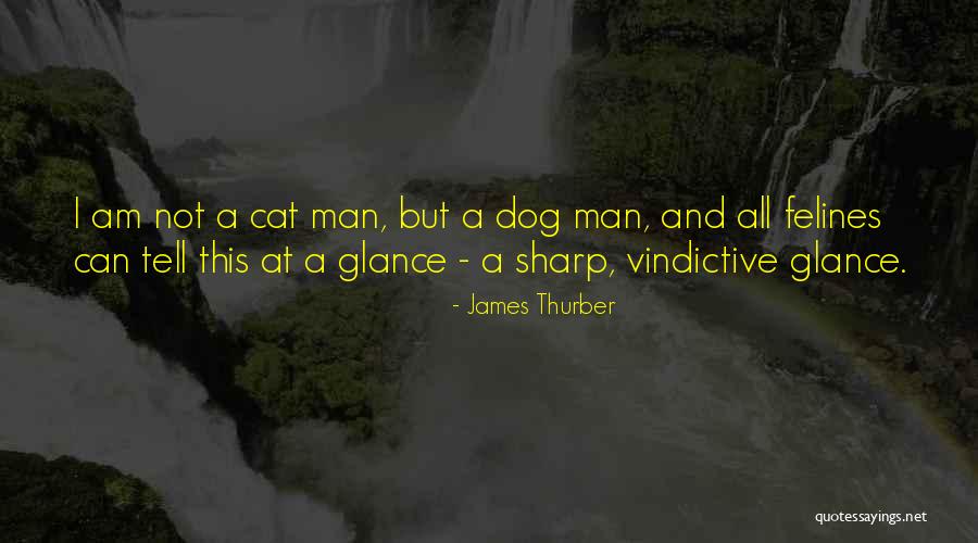 Dog And Cats Quotes By James Thurber