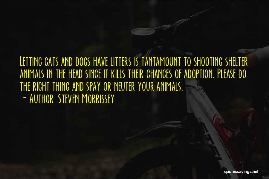 Dog And Cats Quotes By Steven Morrissey