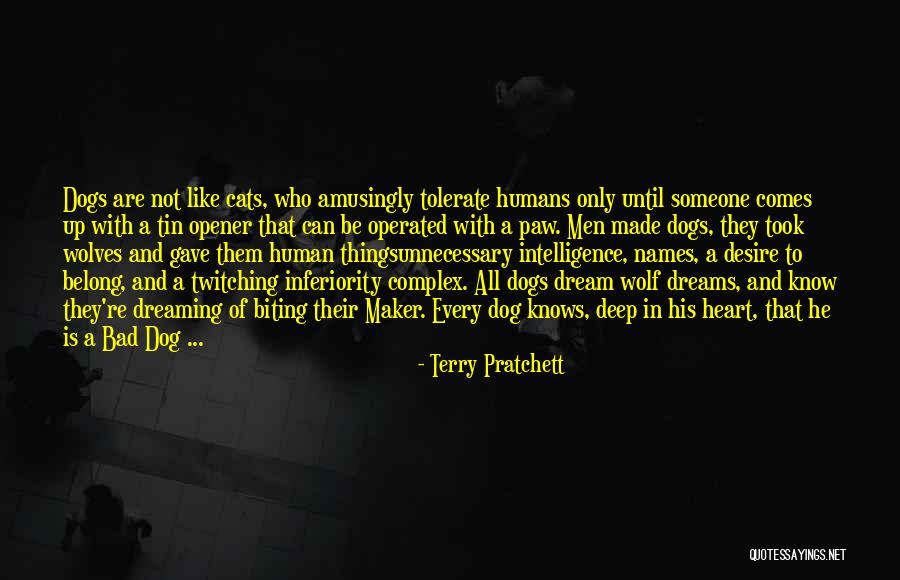 Dog And Cats Quotes By Terry Pratchett Dog And Cats Quotes By Terry Pratchett