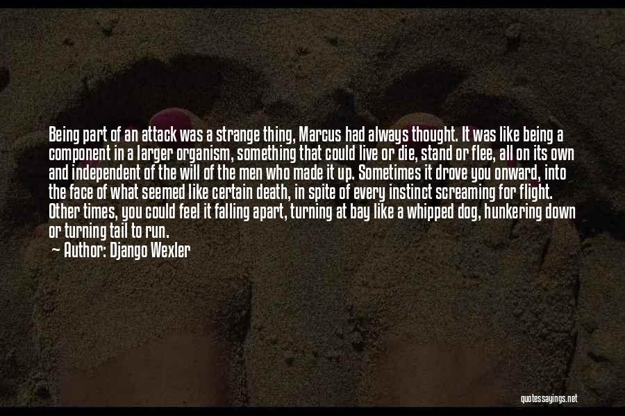 Dog And Death Quotes By Django Wexler