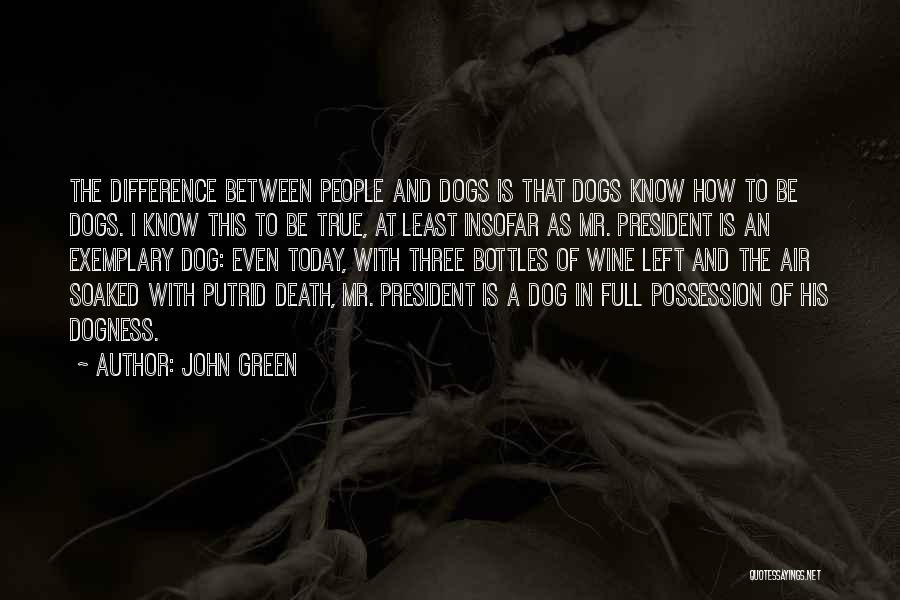 Dog And Death Quotes By John Green