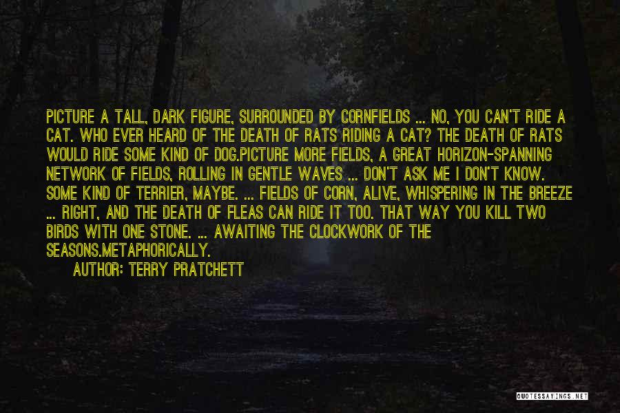 Dog And Death Quotes By Terry Pratchett