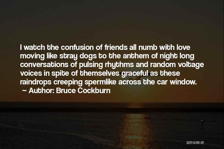 Dog And Friendship Quotes By Bruce Cockburn