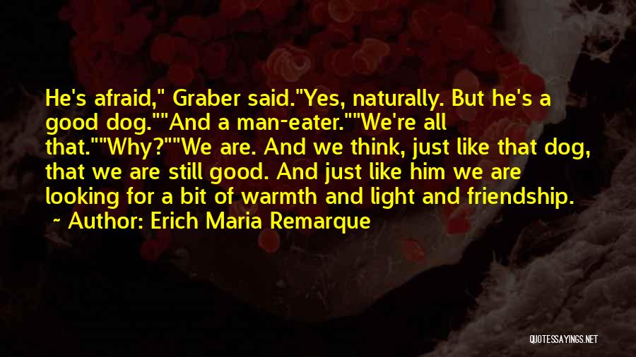 Dog And Friendship Quotes By Erich Maria Remarque